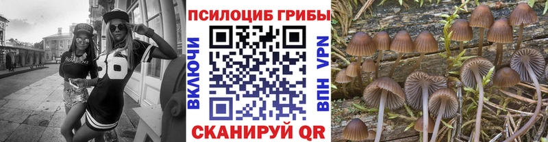 Галлюциногенные грибы мухоморы  Сыктывкар 